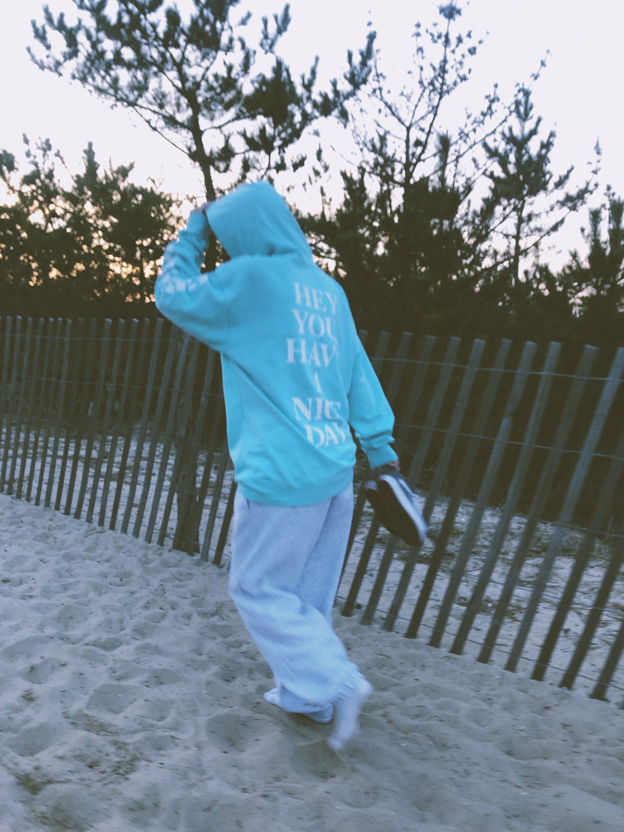 Have A Nice Day Hoodie- Mint